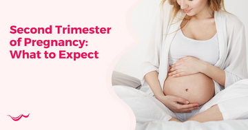 Second Trimester of Pregnancy: What to Expect